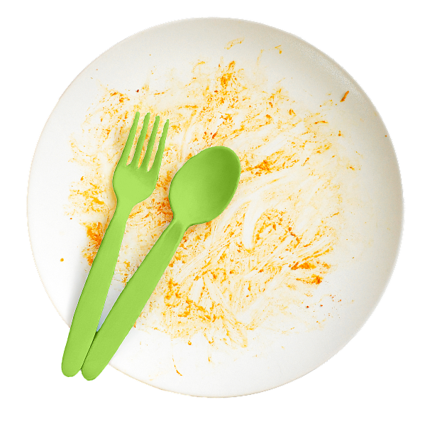 Plate with food
